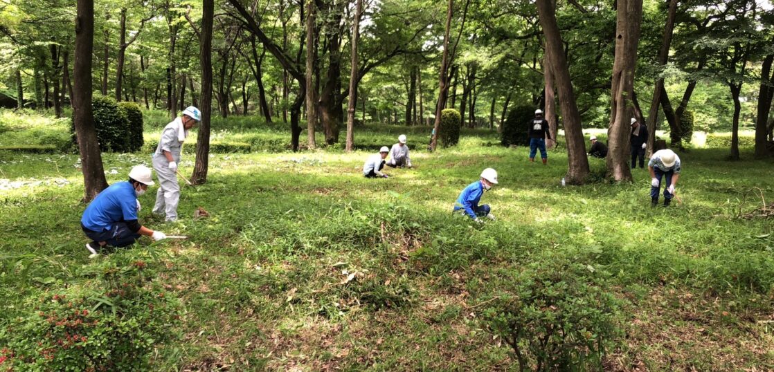 草刈りの様子。