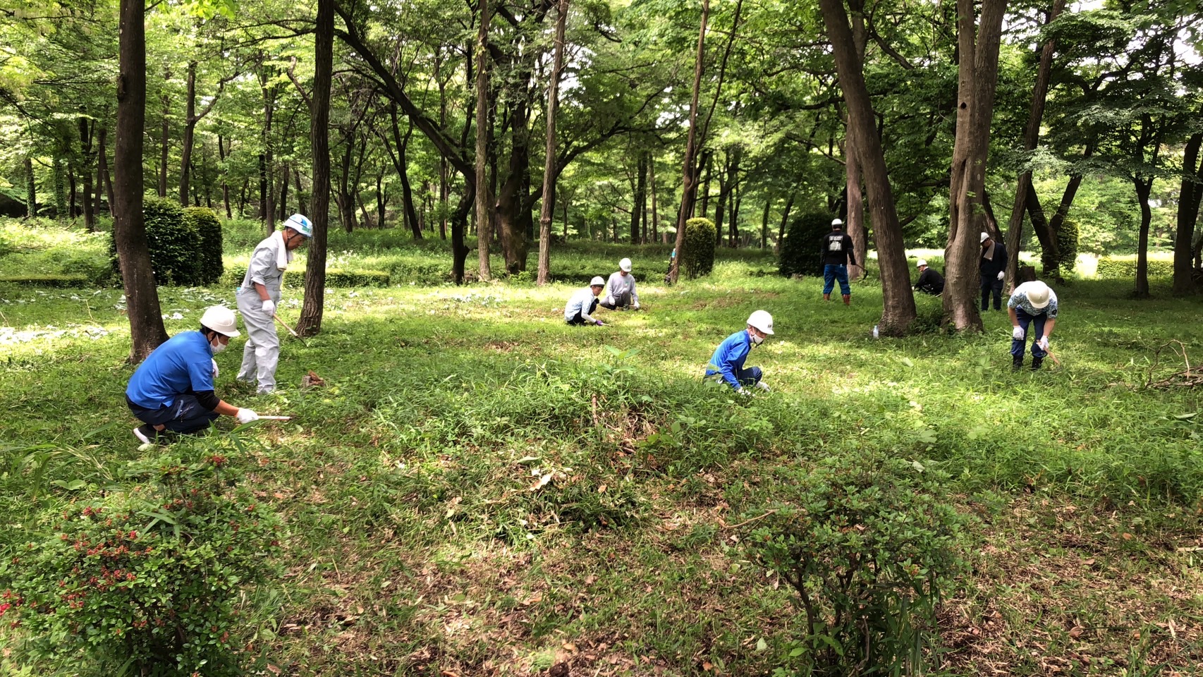 草刈りの様子。