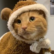 小太郎くん
