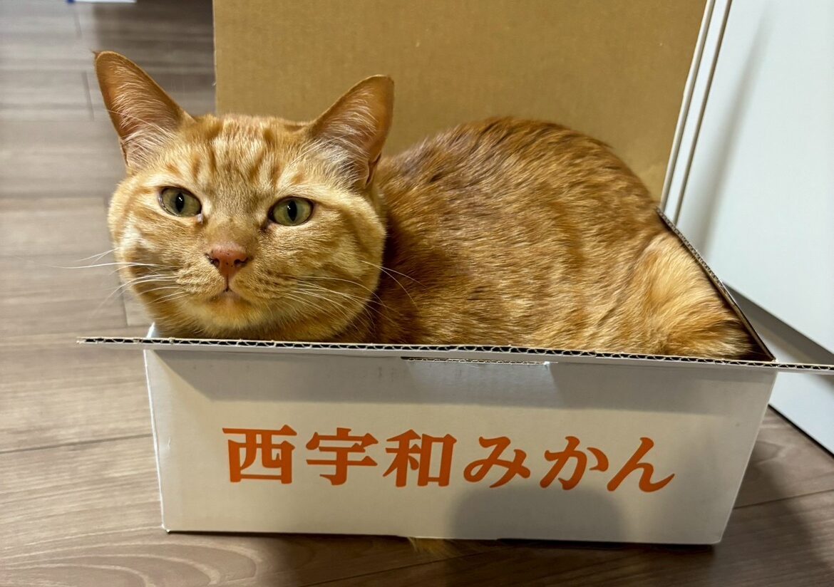 ツナ